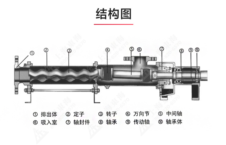 G型螺杆江南（中国）_江南登录网站_江南(中国)结构图.jpg